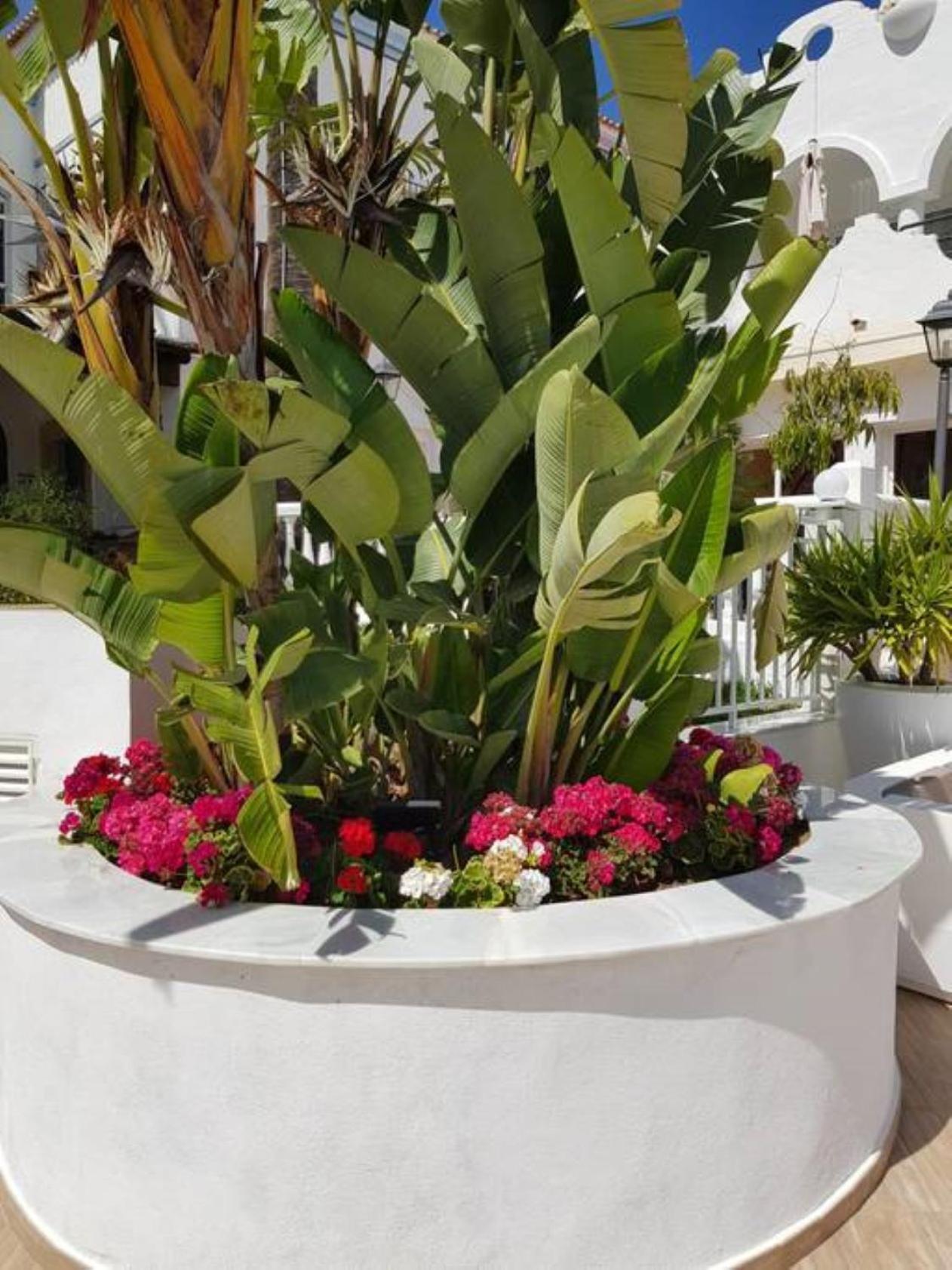 Lejlighed Casa Chico 2 Bedroom Townhouse 1 Mile From Marina & Beaches Marbella